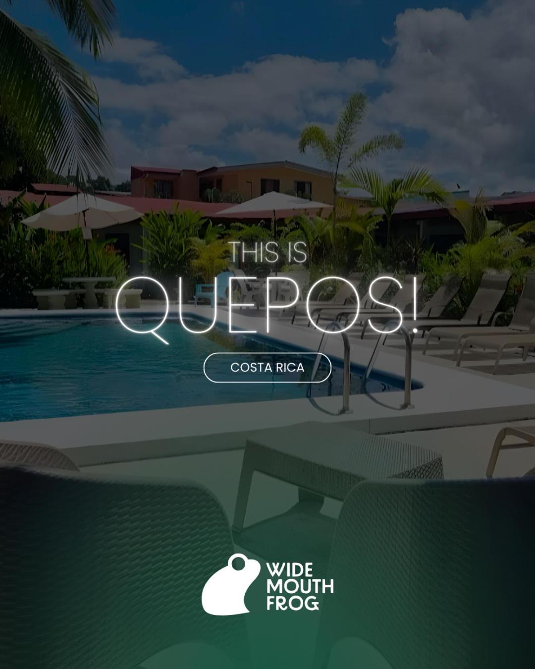 Hostel Wide Mouth Frog Quepos Nationalpark Nationalpark Manuel Antonio Exterior foto