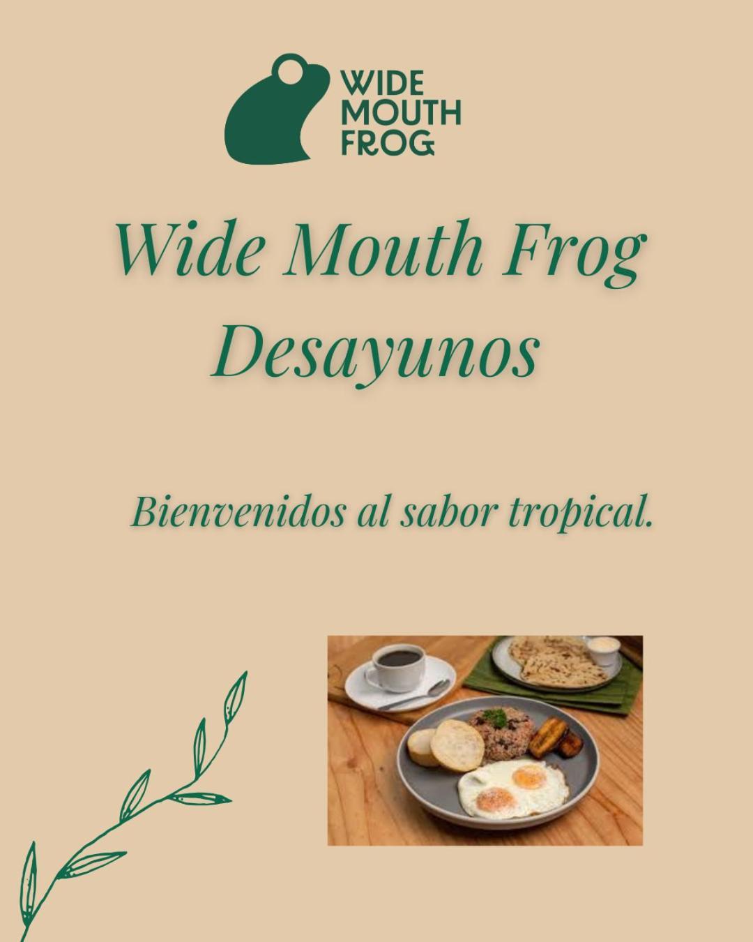 Hostel Wide Mouth Frog Quepos Nationalpark Nationalpark Manuel Antonio Exterior foto