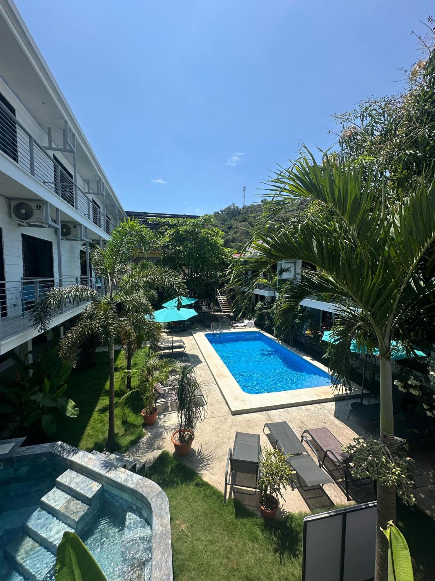 Hostel Wide Mouth Frog Quepos Nationalpark Nationalpark Manuel Antonio Exterior foto