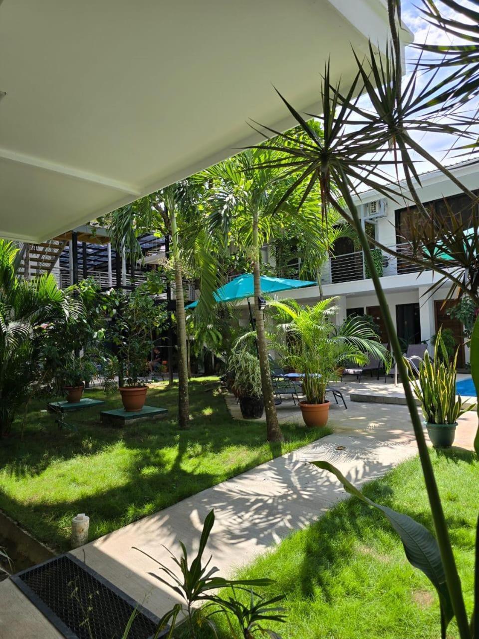 Hostel Wide Mouth Frog Quepos Nationalpark Nationalpark Manuel Antonio Exterior foto