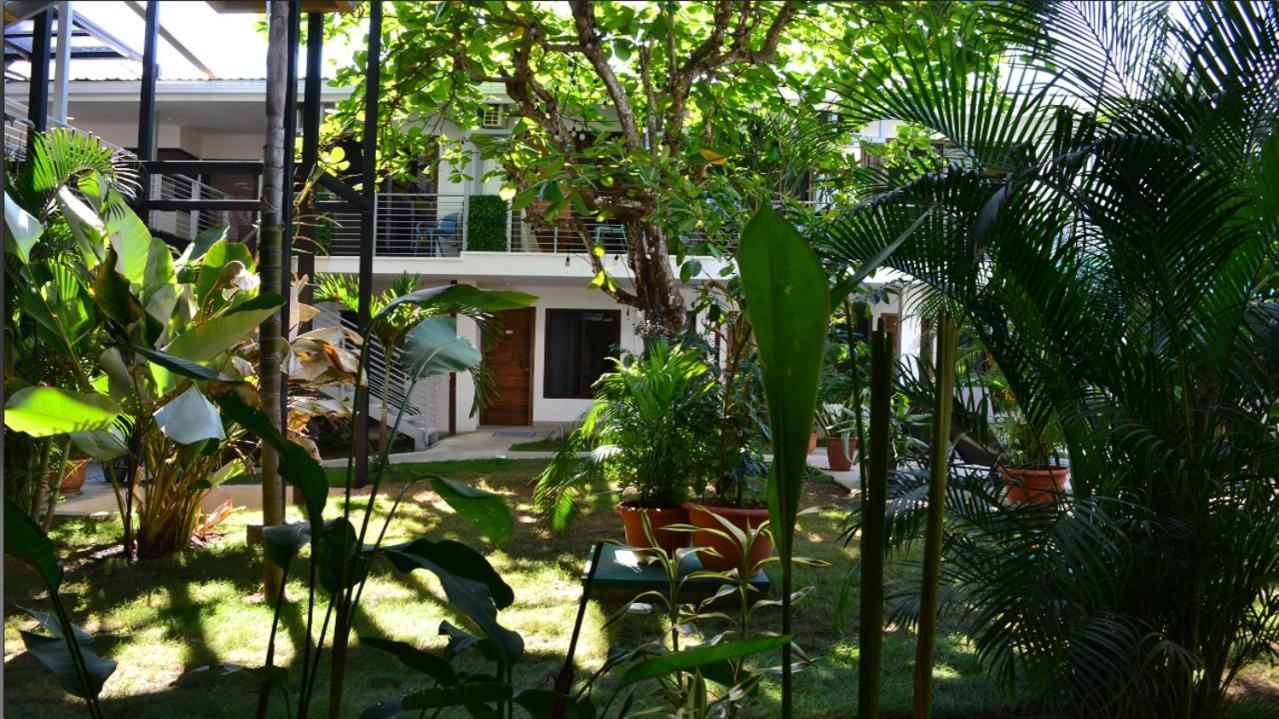 Hostel Wide Mouth Frog Quepos Nationalpark Nationalpark Manuel Antonio Exterior foto