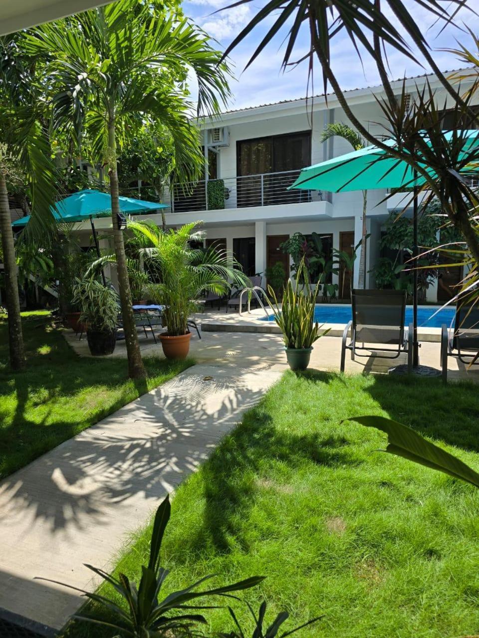 Hostel Wide Mouth Frog Quepos Nationalpark Nationalpark Manuel Antonio Exterior foto