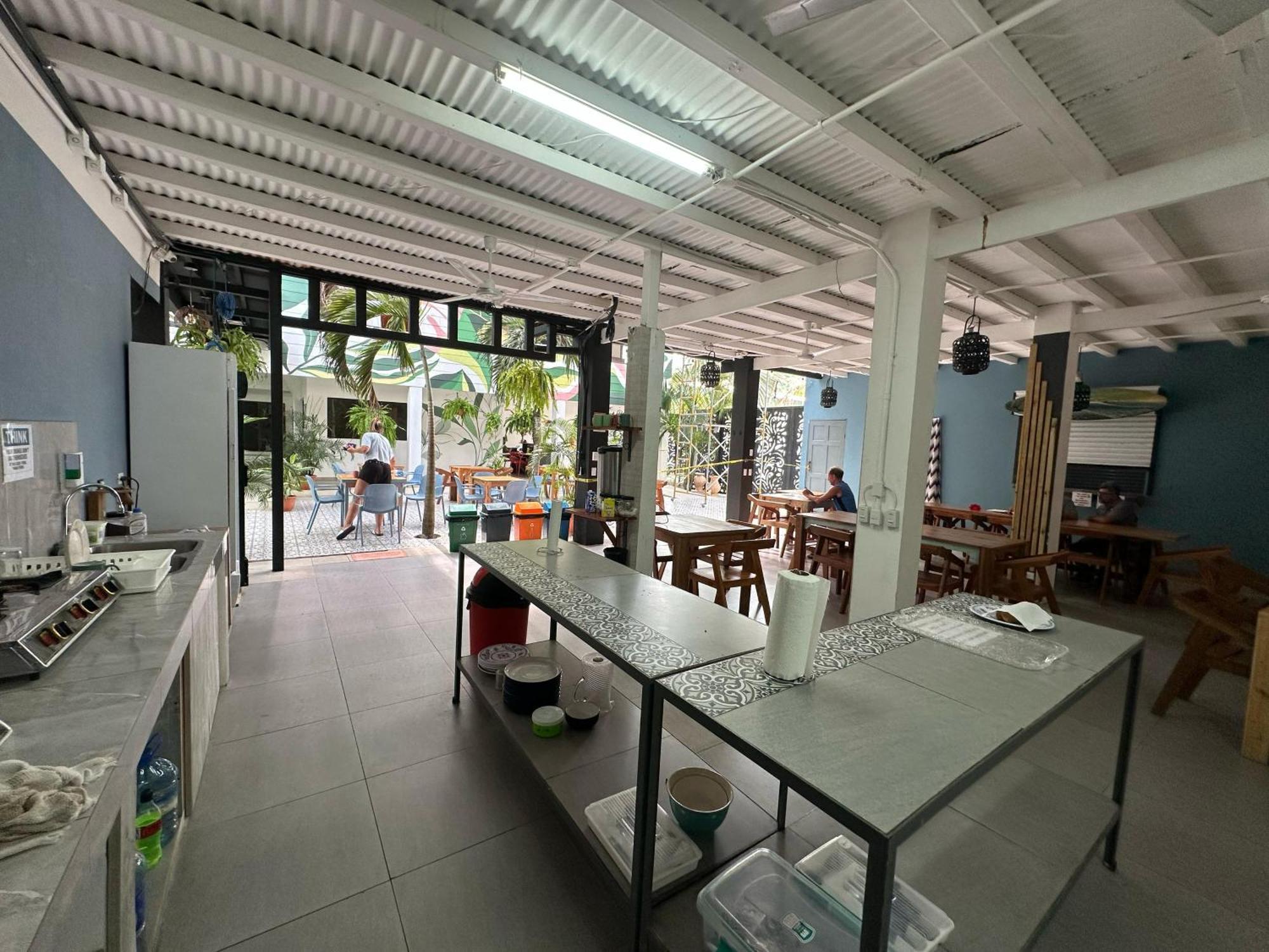Hostel Wide Mouth Frog Quepos Nationalpark Nationalpark Manuel Antonio Exterior foto
