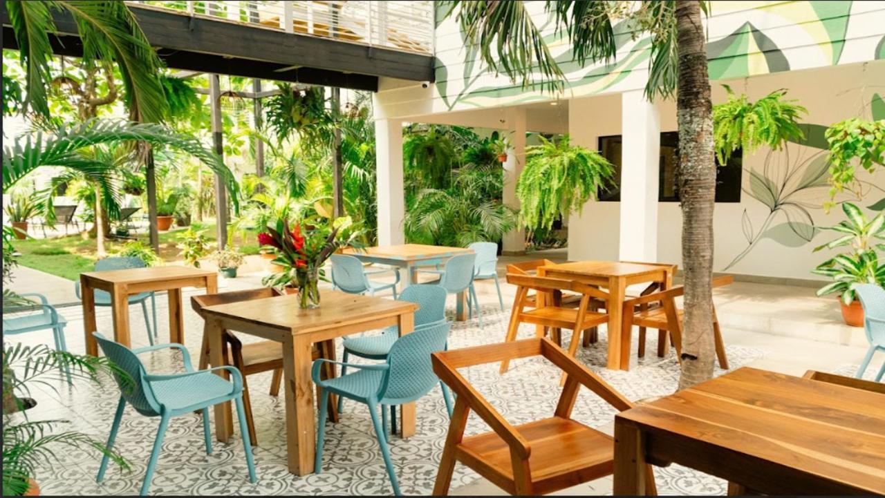 Hostel Wide Mouth Frog Quepos Nationalpark Nationalpark Manuel Antonio Exterior foto