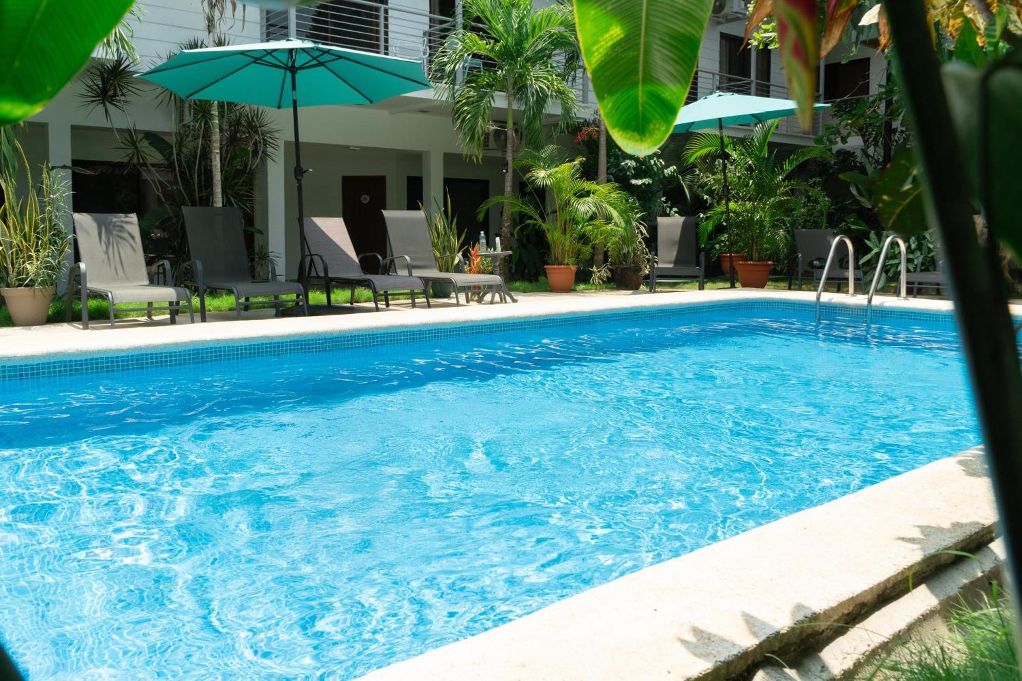 Hostel Wide Mouth Frog Quepos Nationalpark Nationalpark Manuel Antonio Exterior foto