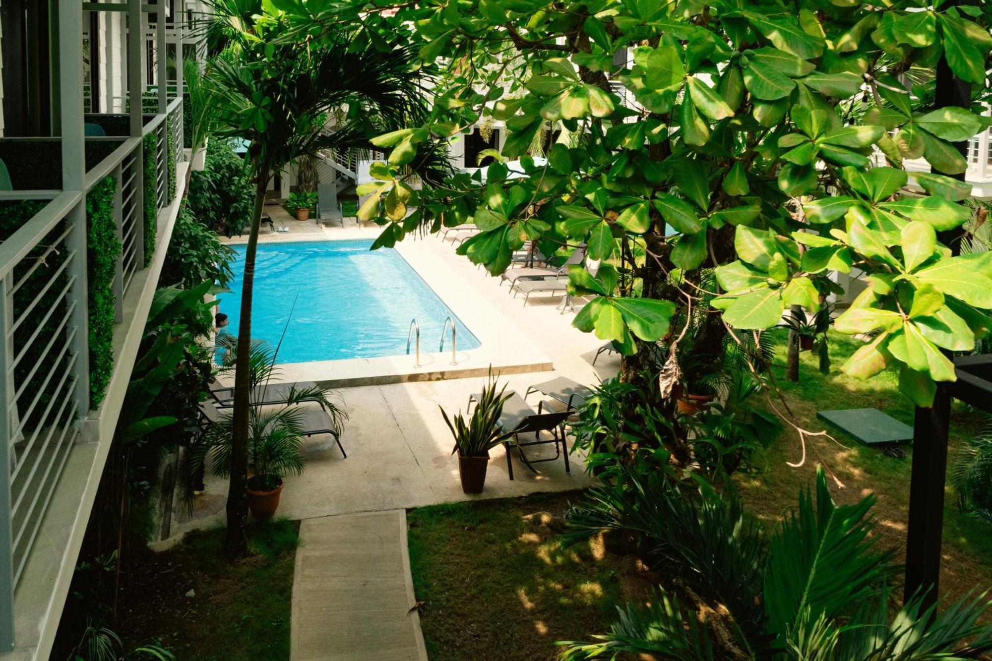 Hostel Wide Mouth Frog Quepos Nationalpark Nationalpark Manuel Antonio Exterior foto