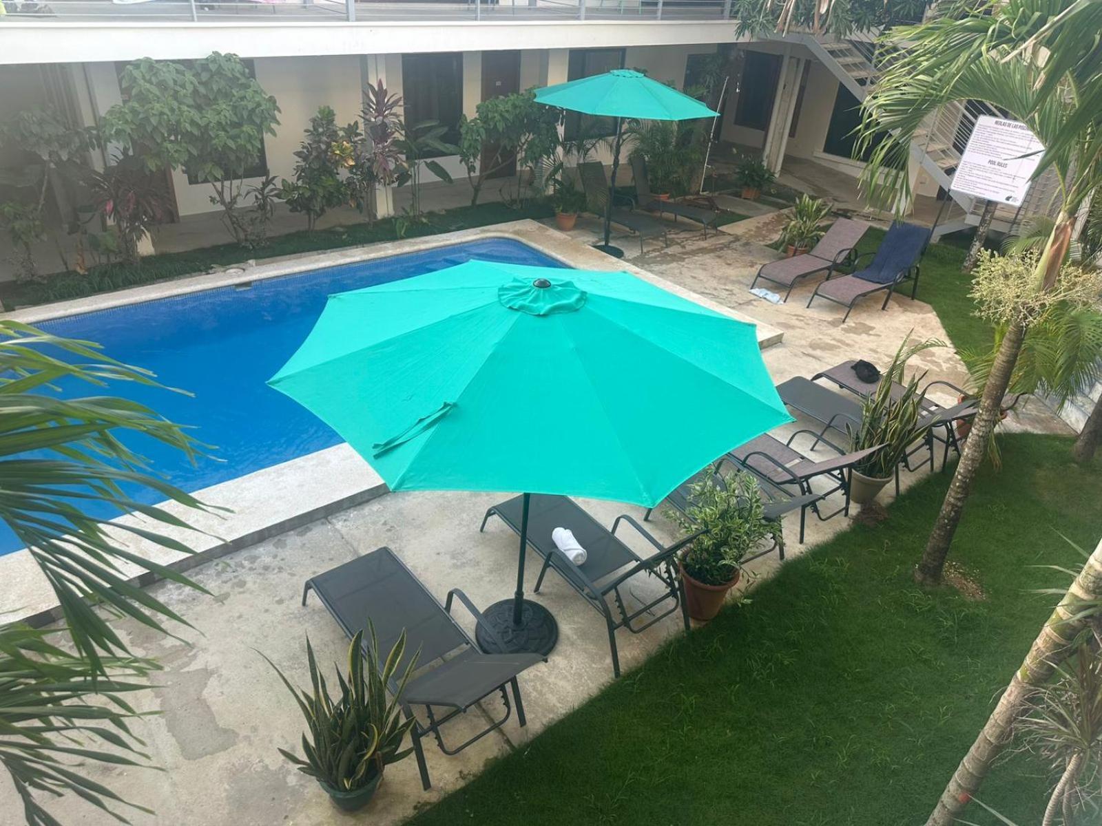 Hostel Wide Mouth Frog Quepos Nationalpark Nationalpark Manuel Antonio Exterior foto