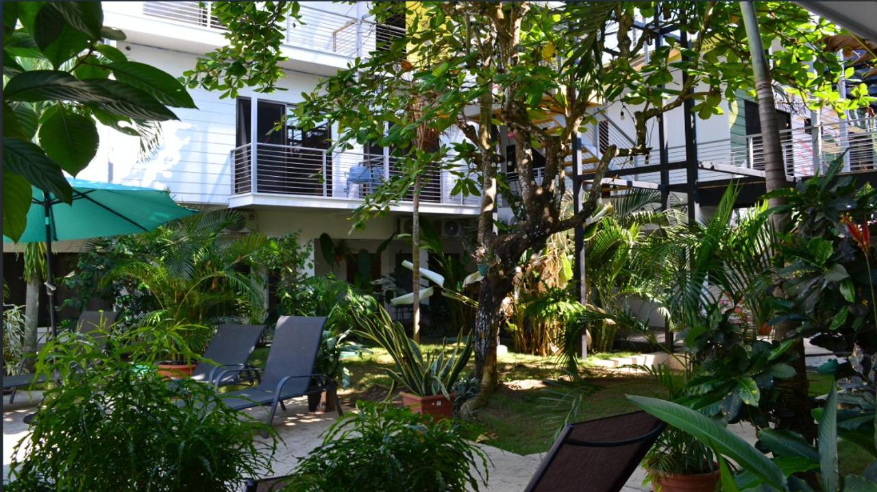 Hostel Wide Mouth Frog Quepos Nationalpark Nationalpark Manuel Antonio Exterior foto